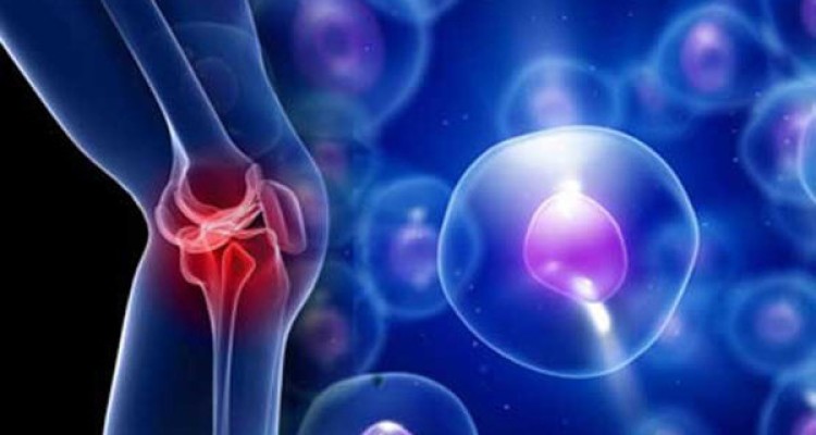 کمبود «کلاژن» در بدن سبب پیری پوست و مشکلات مفصلی می‌شود 