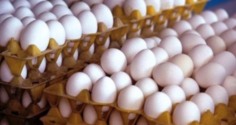 فشار دولت بی نتیجه ماند/قیمت تخم مرغ دوباره پرکشید