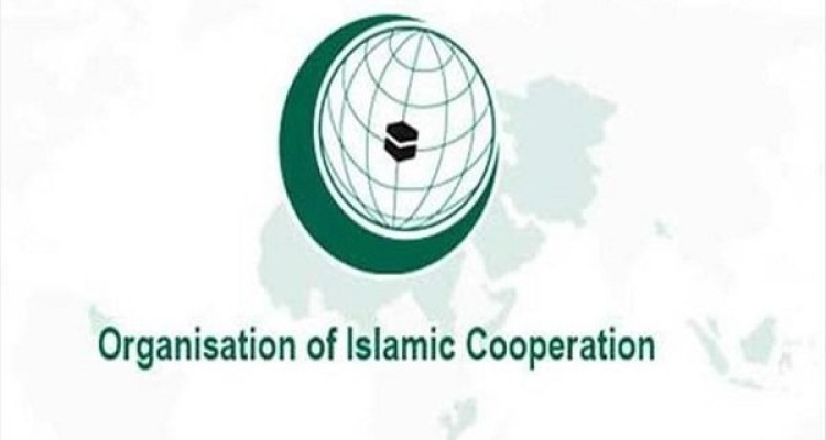 یک دیپلمات ترک نماینده افغانستان در سازمان همکاری اسلامی شد