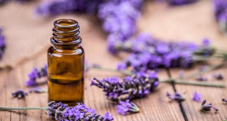  تاثیر روغن اسطوخودوس روی سلامت موها