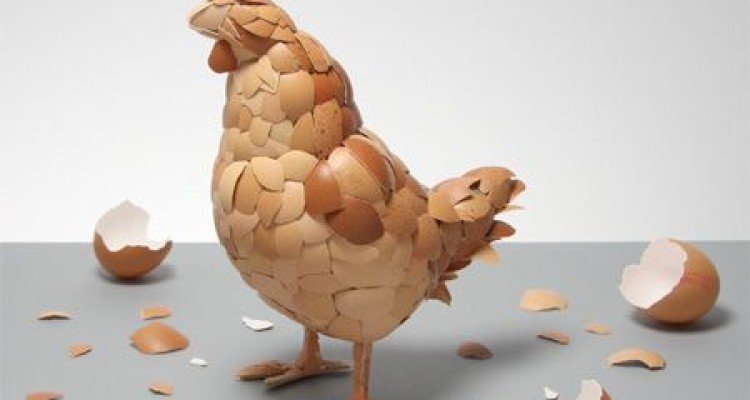مرغ و تخم‌مرغ بخوریم یا نه؟!