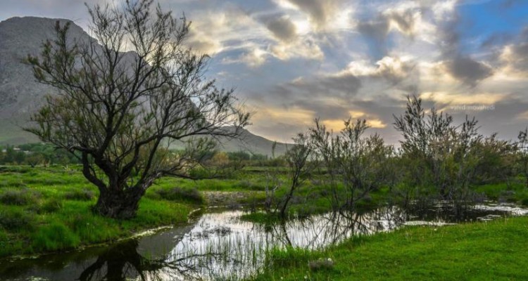 تصاویر بسیار زیبا از مناطق دیدنی شهرستان صحنه 