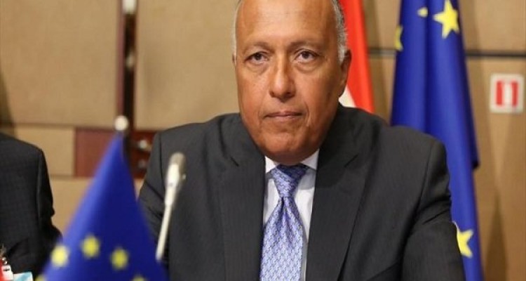 سامح شکری: قطر هنوز از تروریسم حمایت می کند