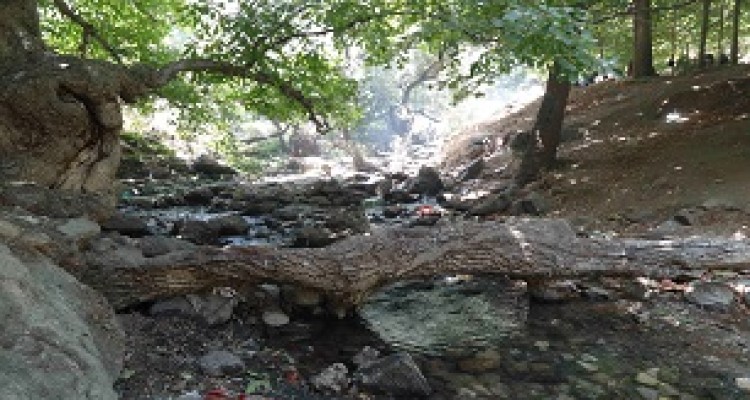 آشنایی با "سراب گروس"