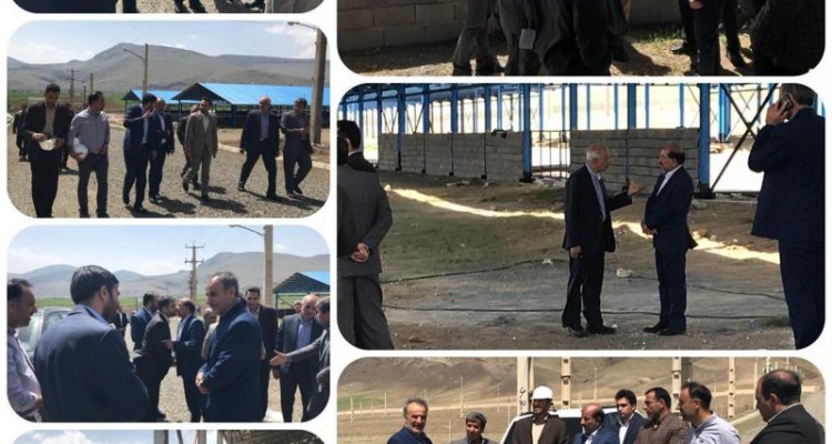بازدید از طرح صنعتی پرورش بز سانن و گوسفند رومن دربخش دینور انجام شد