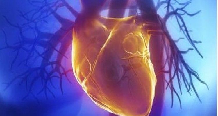  ۶ علامتی که از بیماری‌های قلبی عروقی خبر می‌دهند