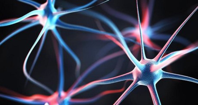  افراد خلاق ۹۰ درصد بیشتر احتمال ابتلا به اسکیزوفرنی را دارند