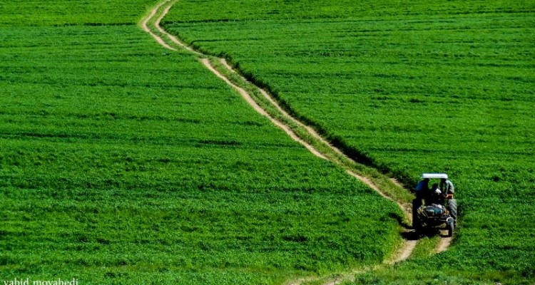 	روستای چمه یادگاری از شهر تاریخی دینور 
