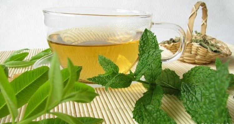  هنگام بیماری چه خوراکی‌هایی بخوریم؟