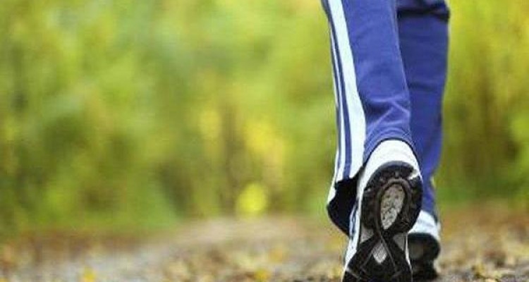  یک پنجم از بزرگسالانِ جهان کم‌تحرک هستند