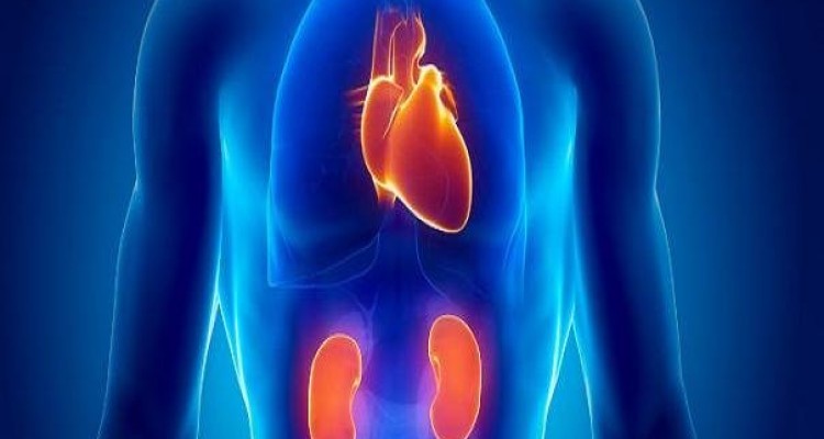 استنشاق اکسید نیتریک در طول جراحی موجب کاهش مشکلات کلیوی می شود