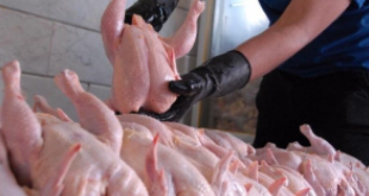 حداقل قیمت فروش مرغ هر کیلو ۹۲۰۰ تومان است/ افزایش قیمت مرغ تخلف نبود 