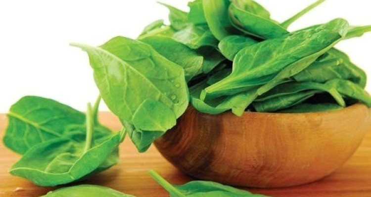منابع گیاهی حاوی آهن را بشناسید