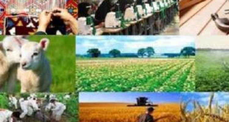 دلسردی کرمانشاهی‌ها از تسهیلات اشتغال روستایی با حذف ۶۲۰ طرح! 