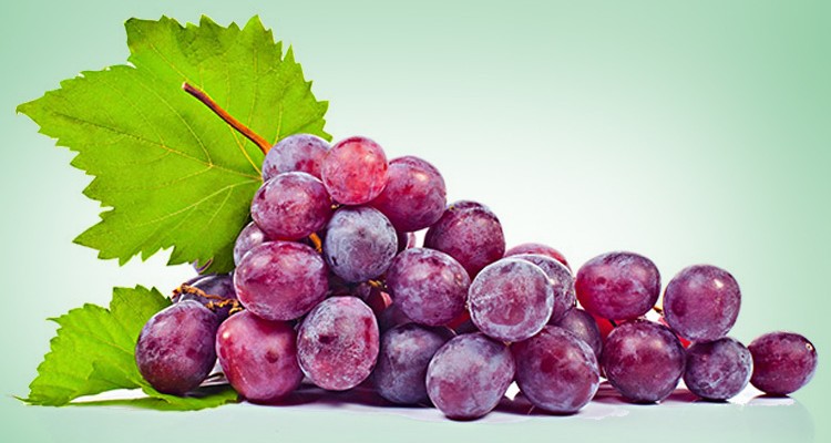 انگور برای افراد دیابتی مضر نیست