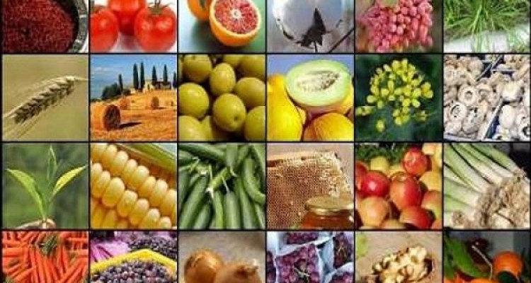 بزنگاه اصلاح نگاه دولتمردان/حمایت از خودکفایی به جایی تهدید تولید