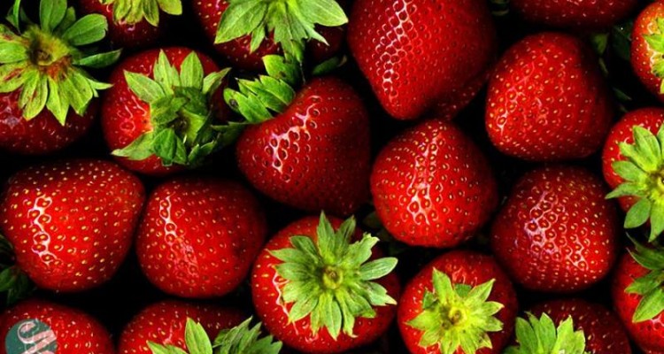 کُند کردن روند پیری با ماده طبیعی «فیستین»