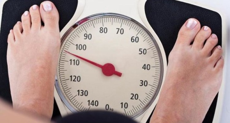 کاهش وزن با مصرف «آووکادو» و تخم مرغ 