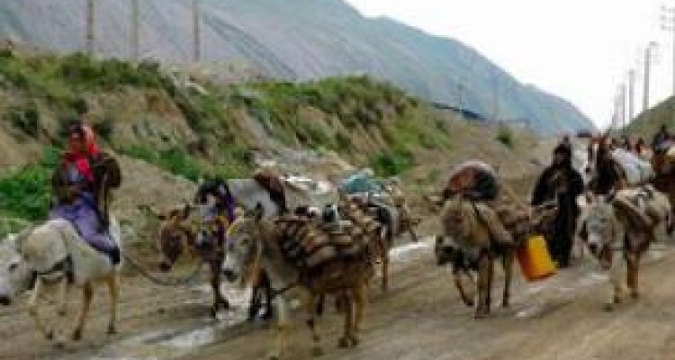 شرایط سخت کوچ‌روها در ییلاق /عشایر به کوچ زودهنگام نیاز دارند 