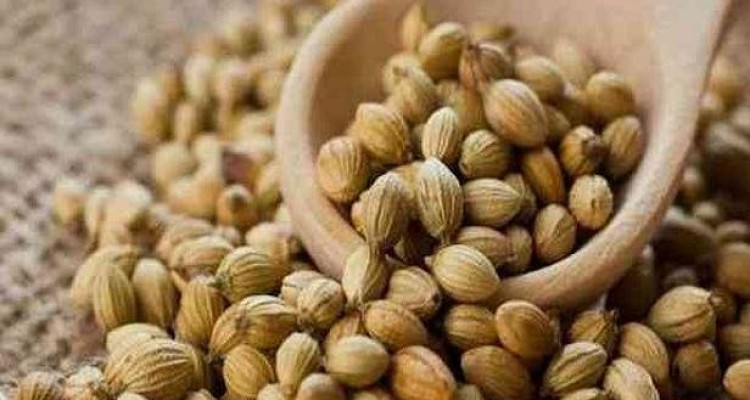 تخم گشنیز در کنترل قندخون تاثیر دارد