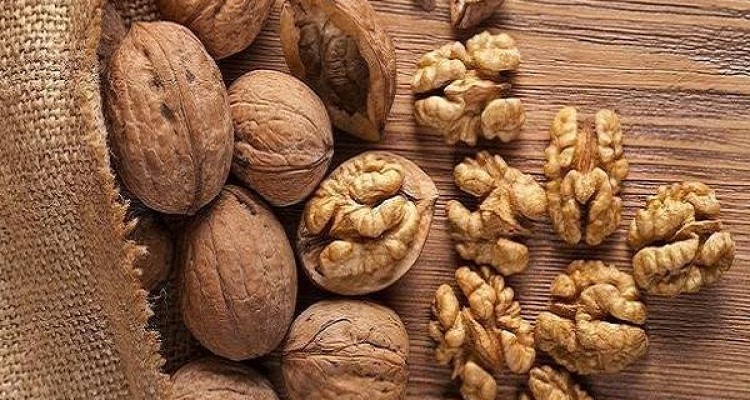 تاثیر گردو در حفظ سلامت دستگاه گوارش