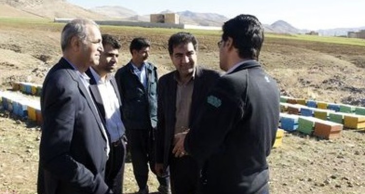 مدیر بانک قرض الحسنه مهر ایران از طرح های اشتغالزایی مددجویان کمیته امداد شهرستان صحنه بازدید کرد