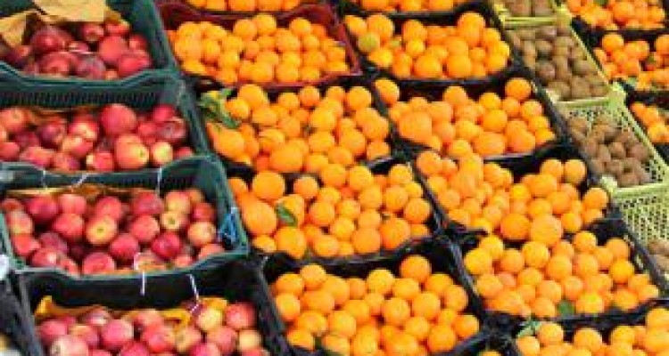  ذخیره‌سازی ۱۵۰۰ تن میوه شب عید در کرمانشاه 