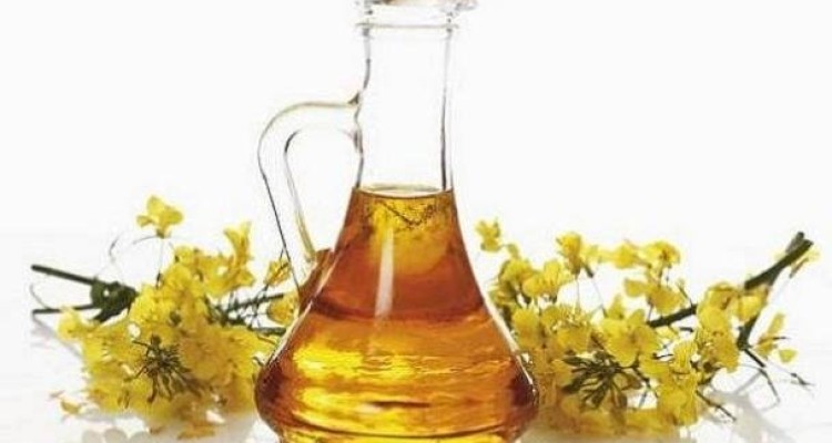 فایده روغن کانولا در کاهش کلسترول و قندخون