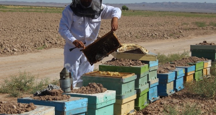 گفتگو ویژه با ستاره اقتصاد مقاومتی در شهرستان صحنه 