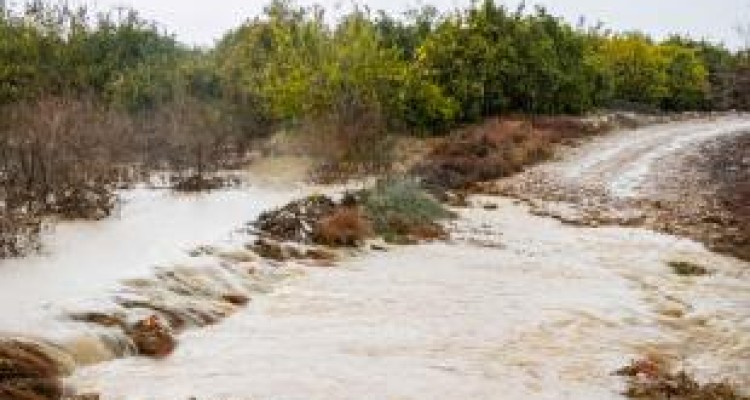  سیل ۱۸.۵ میلیارد تومان خسارت به بخش کشاورزی وارد کرد 