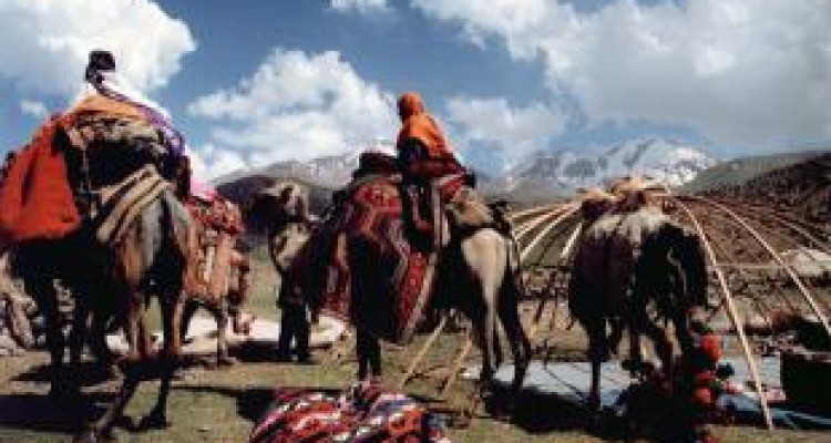  کوچ ۵۰۰۰ خانوار عشایر در کرمانشاه 