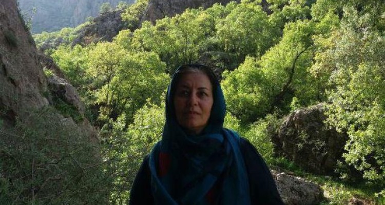  ادبیات داستانی که می‌خواهد دیده شود 