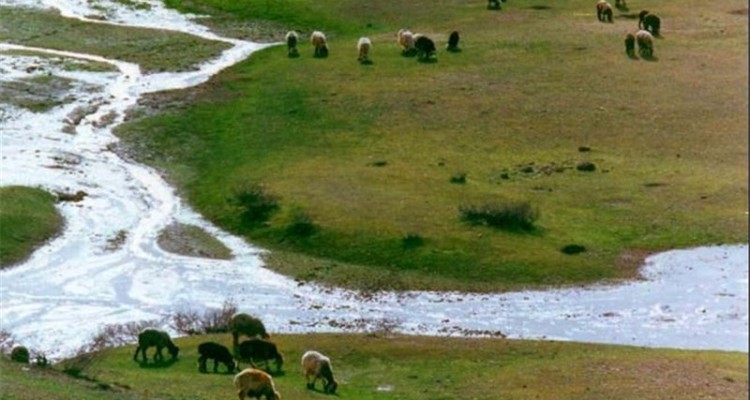  جلسه سازماندهی قرقبانان مراتع شهرستان صحنه برگزار شد