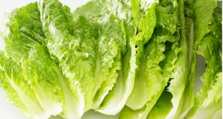 تاثیر مصرف سبزیجات در پیشگیری از دیابت و چاقی