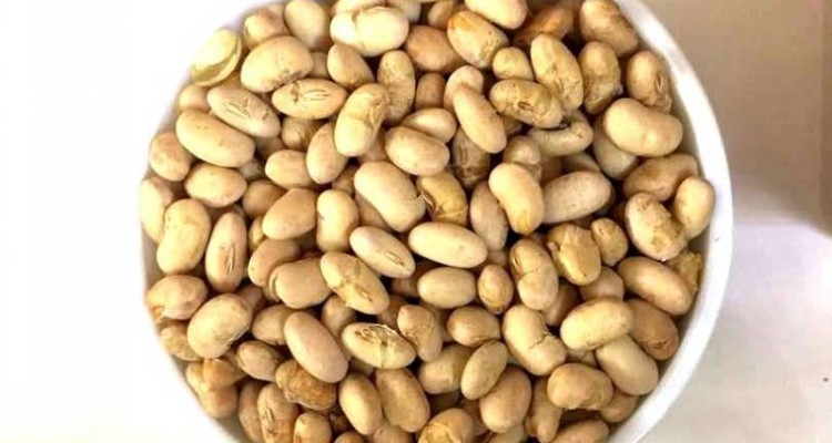 مصرف سویا و کاهش ریسک شکستگی استخوان در بازماندگان سرطان سینه 