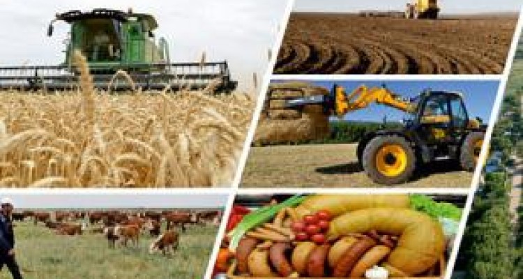  ۹۵ درصد روستاهای کرمانشاه تحت پوشش خدمات تعاون روستایی است 
