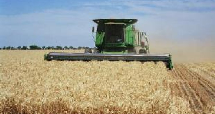  برداشت بیش از ۸۲ هزار هکتار گندم از مزارع کرمانشاه 