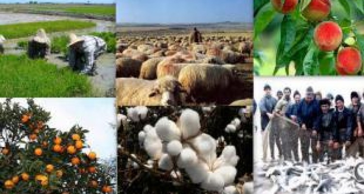  پرداخت ۲۹۷ میلیارد تومان تسهیلات اشتغالزایی روستایی 