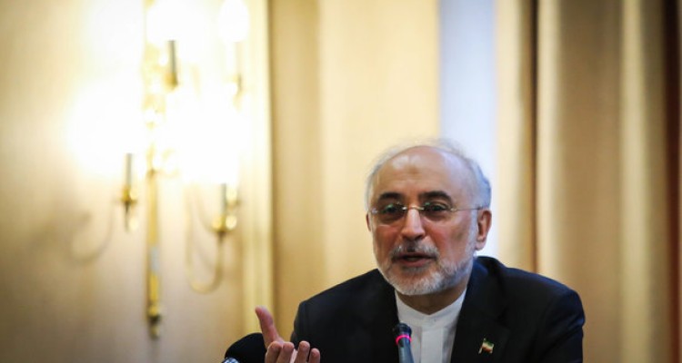 صالحی: ایران در طول برجام ۲۴ تن اورانیوم را غنی‌سازی کرد