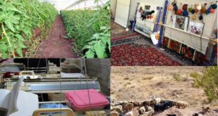  پرداخت ۸۸ درصد سهمیه اعتبارات اشتغالزایی روستایی 