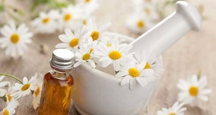  آیا دمنوش بابونه خواب‌آور است؟