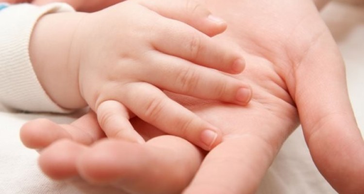 رژیم غذایی پرچرب محافظ جنین در مقابل آلزایمر