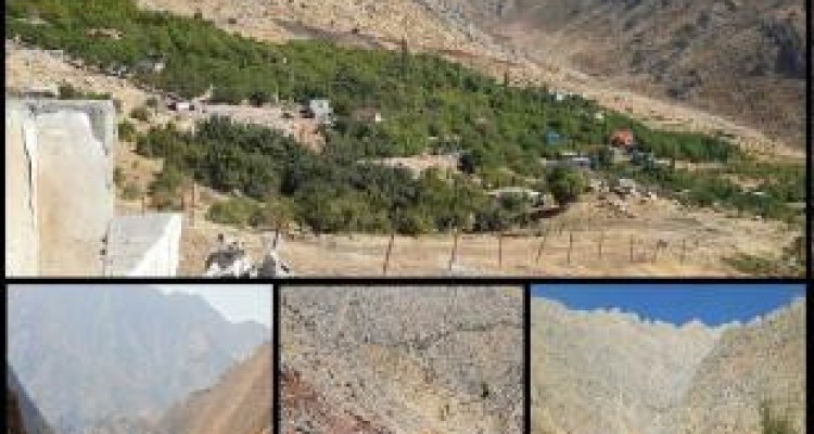 «بیدمیری» در قبضه متجاوزان طبیعت /زمین‌خواری بدون مزاحم 