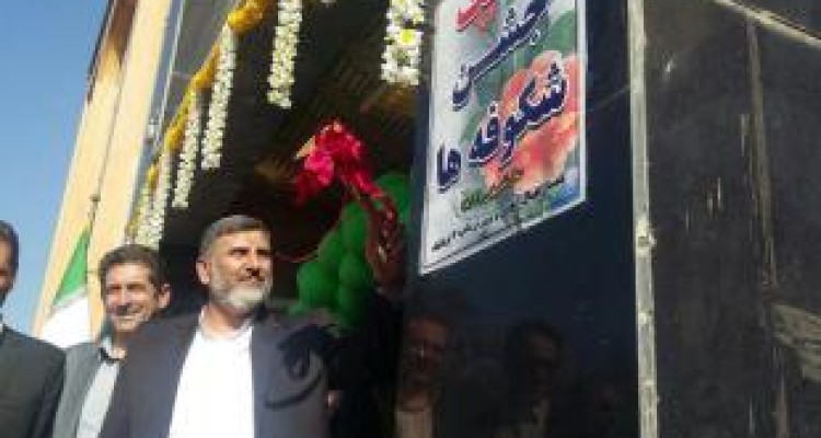 جشن شکوفه‌ها با حضور ۳۲ هزار کلاس اولی در کرمانشاه برگزار شد 