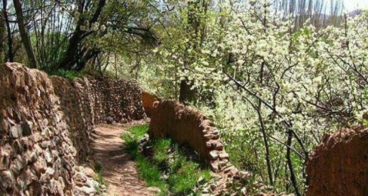 آغاز رسمی کوچ پاییزه عشایر کرمانشاه از ۳۰ آبان 