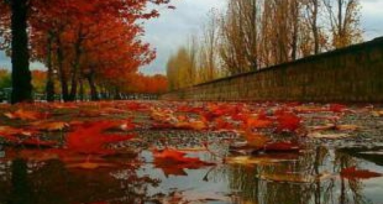 کاهش ۵۴ درصدی بارش‌ها در کرمانشاه 