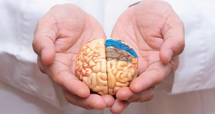  واکسن زوال عقل روی انسان آزمایش می‌شود