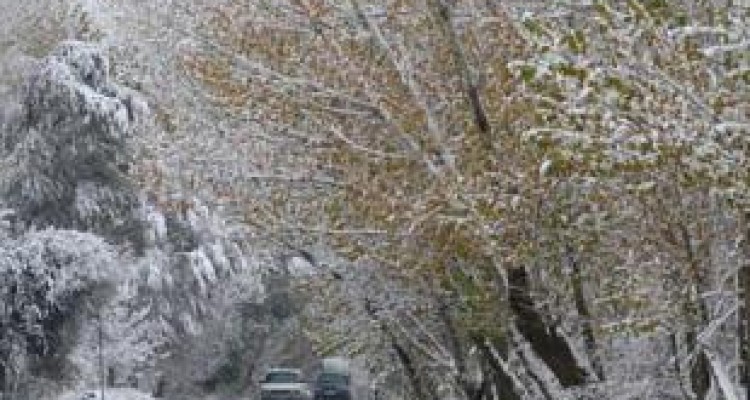 پیش‌بینی بارش برف در مناطق سردسیر کرمانشاه 