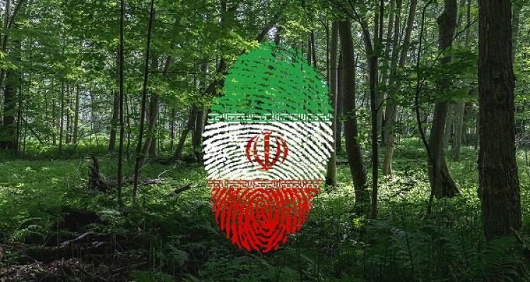 نقش پویش ملی نهال کاری همگانی برای ایرانی سبز در شهرستان صحنه 