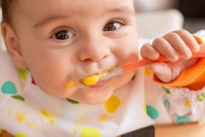 راهنمای قدم به قدم تغذیه کودکان از تولد تا ۱۰ سالگی